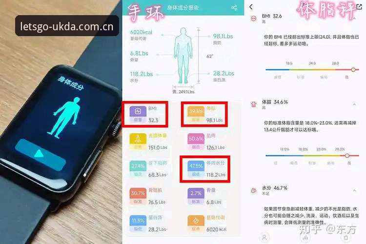 华体会体育安卓版数据 华体会体育安卓版数据实测:从面板到同步的量化体验
